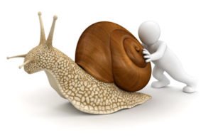 snailman400px