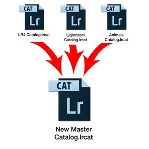 Merging Catalogs - Stage 3 - Using Import from Another Catalog to Merge ...